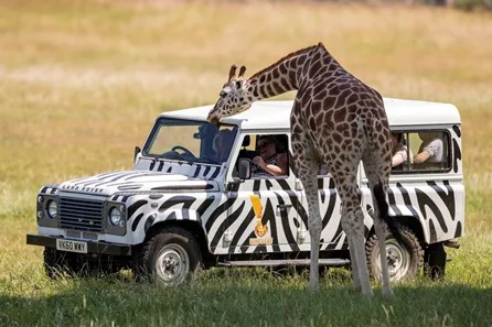 Longleat Silver VIP Truck Safari and Behind The Scenes Foot Tour with Park Admission for Six at Warminster