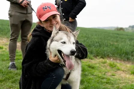 Meet the Huskies and Entry to Eagle Heights Wildlife Foundation for Two at Dartford