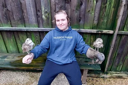 Millets Wildside Burrowing Owl Encounter at Abingdon
