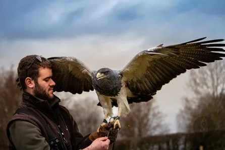 Millets Wildside Private Eagle and Vulture Encounter for Two at Abingdon