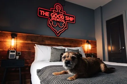 One Night BrewDog Kennels Hotel Stay with Brewery Tour and Dining for Two at Ellon