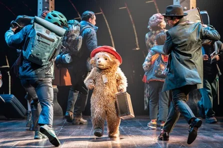 Paddington the Musical Premium Theatre Tickets for Three at Savoy Theatre