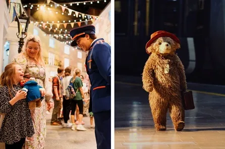 Paddington the Musical Premium Theatre Tickets and The Paddington Bear ™ Experience for Two Adults and Two Children - Off Peak at Savoy Theatre