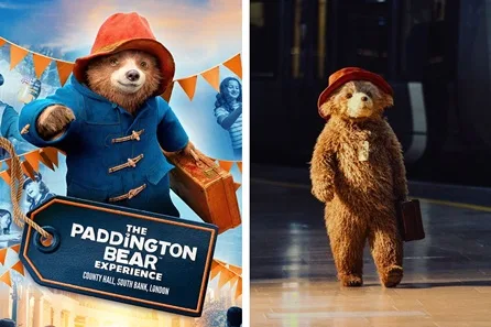 Paddington the Musical Theatre Tickets and The Paddington Bear ™ Experience for One Adult and One Child - Off Peak at Savoy Theatre