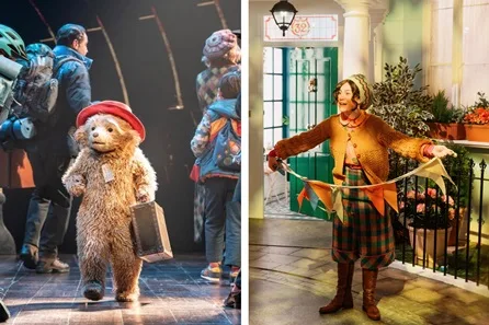 Paddington the Musical Theatre Tickets and The Paddington Bear ™ Experience for One Adult and One Child - Peak at Savoy Theatre