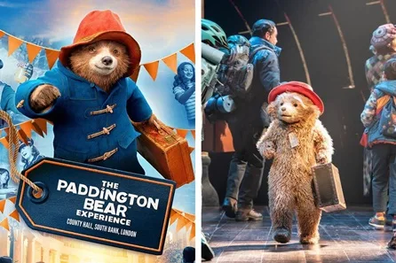Paddington the Musical Theatre Tickets and The Paddington Bear ™ Experience for Two Adults and One Child - Off Peak at Savoy Theatre