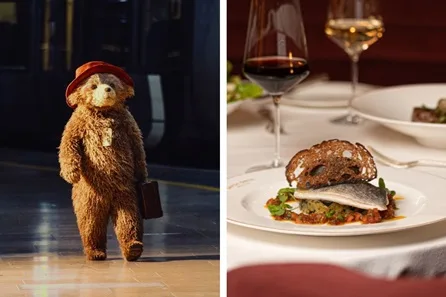 Paddington the Musical Theatre Tickets and Savoy Grill Two Course Pre-Theatre Dining for Two at Savoy Theatre