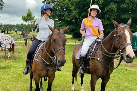 Polo Lesson at Edgeworth Polo Club, Cotswolds at Edgeworth Polo Club, Cotswolds, Stroud