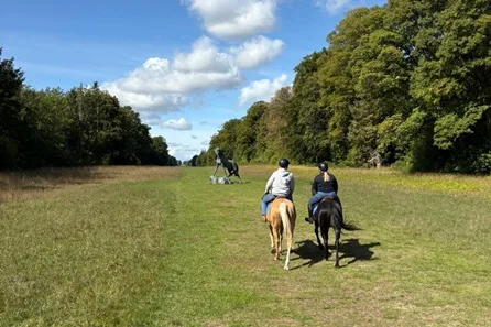 Polo Pony Hack for Two at Edgeworth Polo Club, Cotswolds at Edgeworth Polo Club, Cotswolds, Stroud