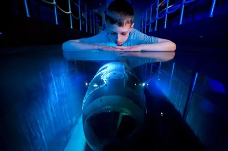 Portsmouth Historic Dockyard tickets for Two Adults and up to Three Children at Portsmouth