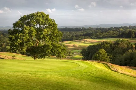Dale Hill Round of Golf on the Old Course for One