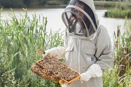 Hiver's Rural Beekeeping and Beer Tasting Experience at Hassocks