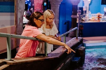 SEA LIFE Manchester Visit for Two Adults at Manchester