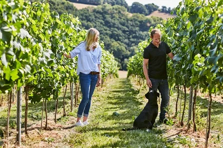 Swanaford Wine Tasting and Vineyard Tour For Two at Exeter