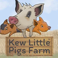 Kew Little Pigs at Kew Little Pigs