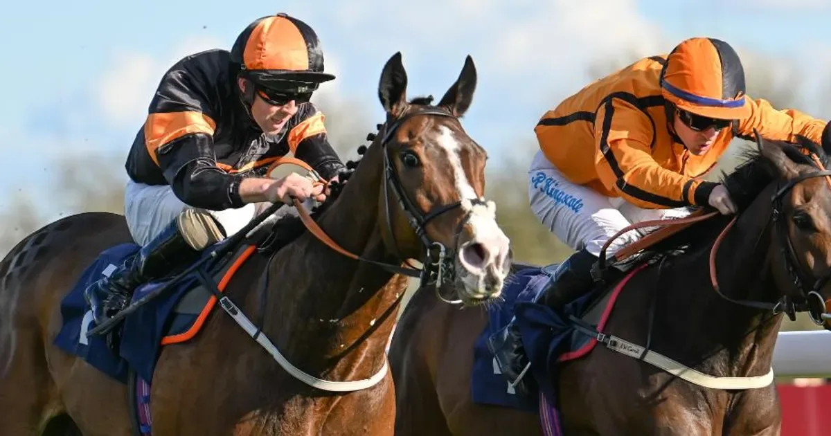 Bath Racecourse August Racing (Wednesday) at Bath Racecourse