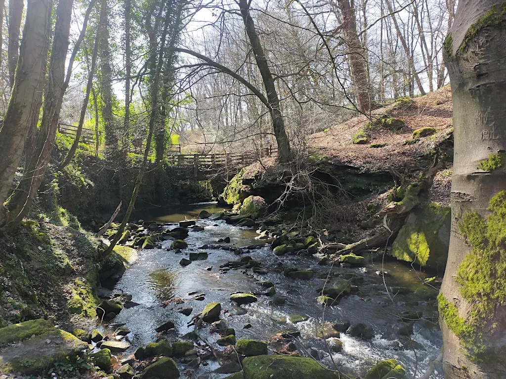 Discover Bradford's Becks: Hewenden Vistas at Cullingworth Primary School