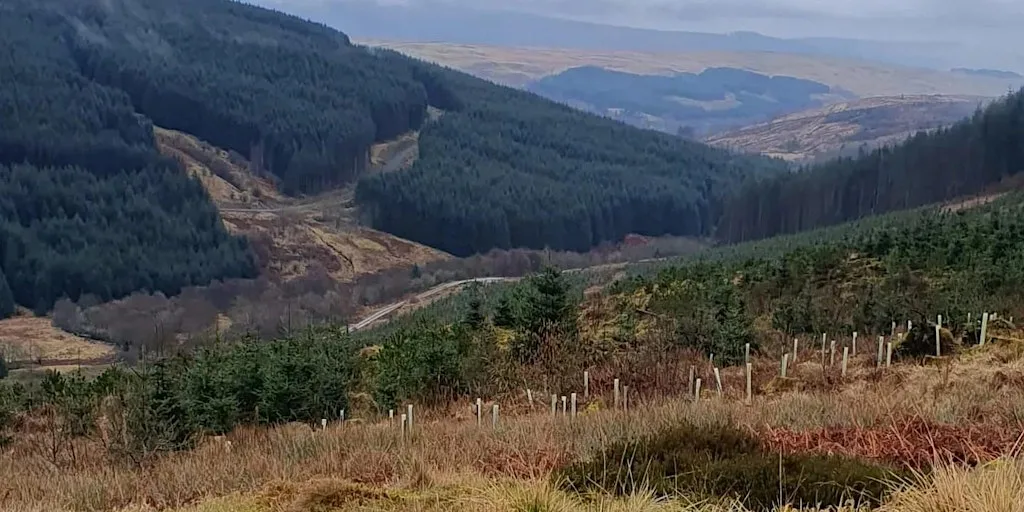 The Introductory Walk
