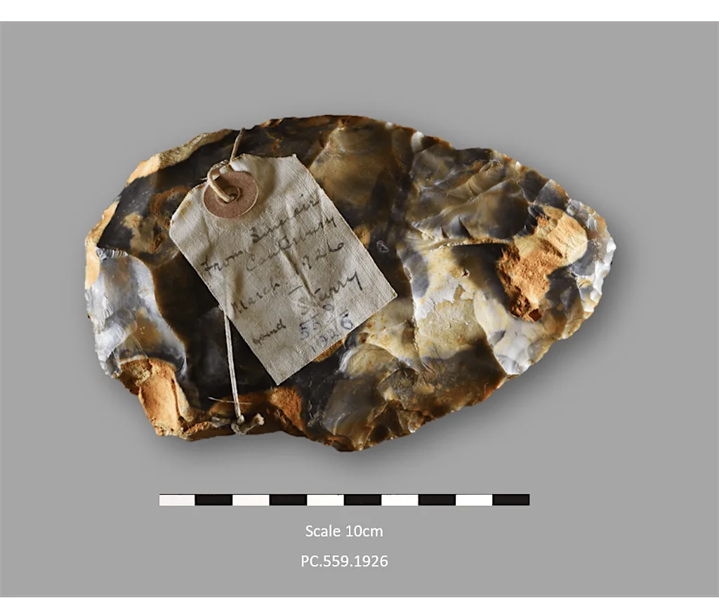 Festival of Archaeology The Lost Worlds of the Palaeolithic at Powell-Cotton Museum