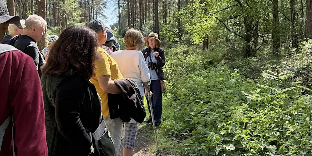 Autumn Weekend Nature Walk & Talk with Ailsa at Charity Community Hub