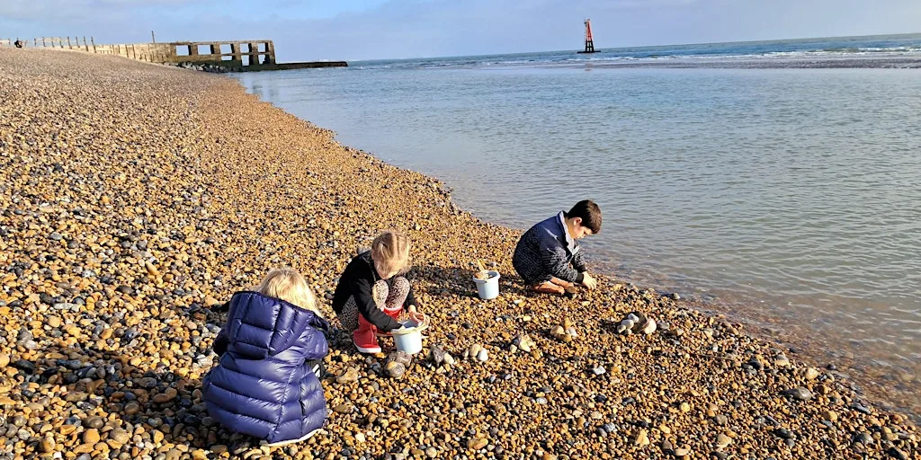 Wildlife Watch Wild Beach Child at Rye Harbour Nature Reserve (420337035) at Rye Harbour Discovery Centre