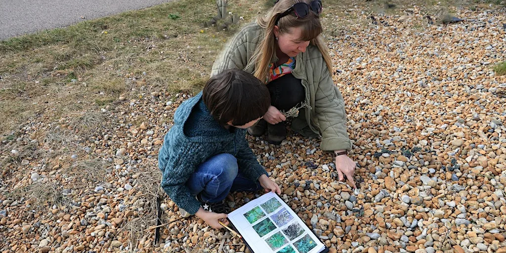 Wildlife Watch at Rye Harbour Nature Reserve (420337035) at Rye Harbour Discovery Centre