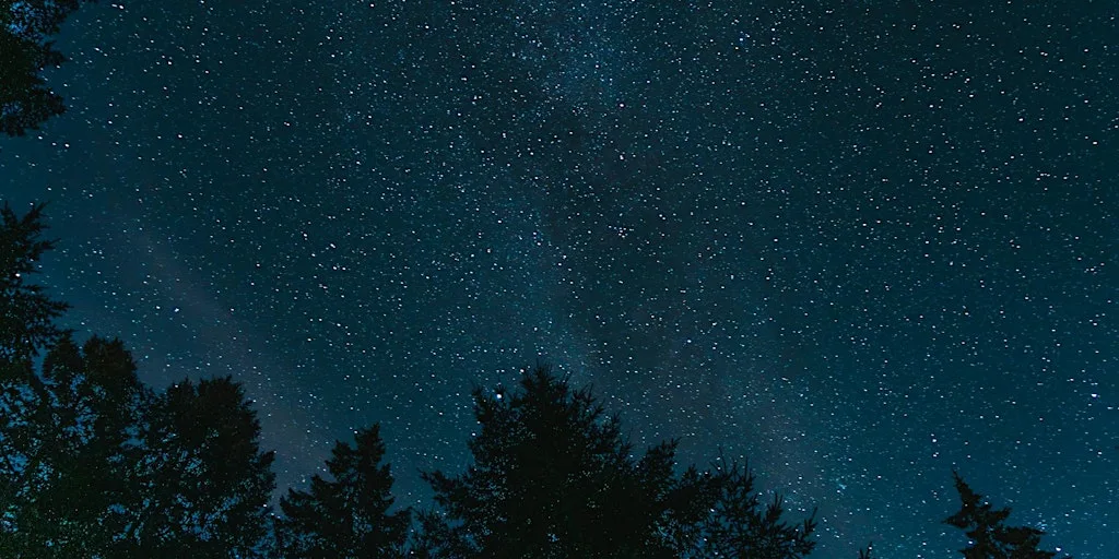 Night Exploration of How Hill National Nature Reserve at How Hill National Nature Reserve
