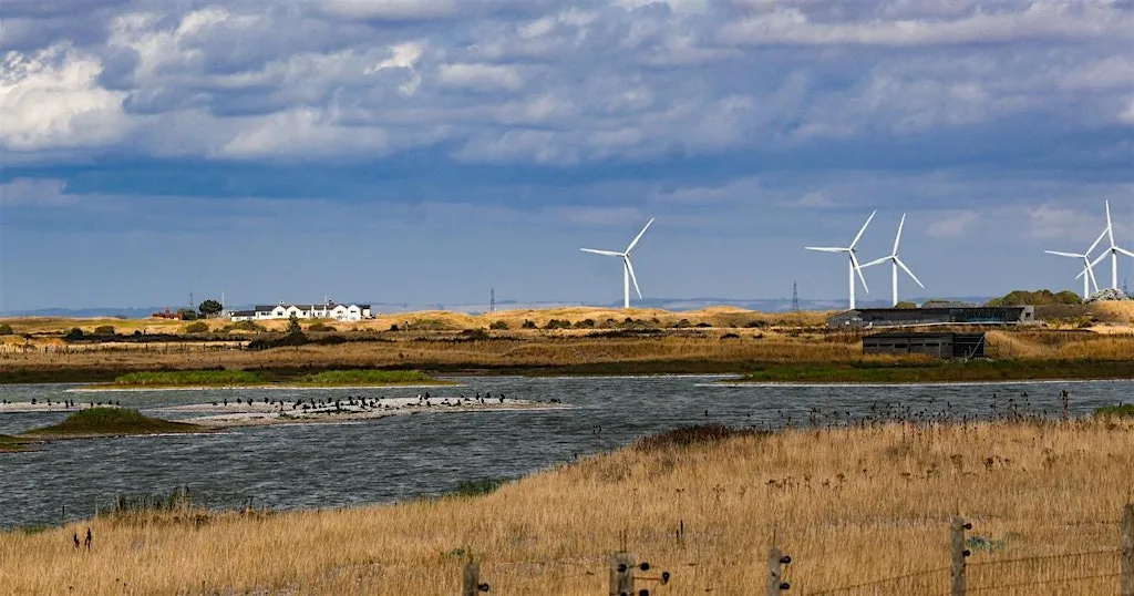 Forest School Networking Day, Rye Harbour (420337035) at Rye Harbour Nature Reserve