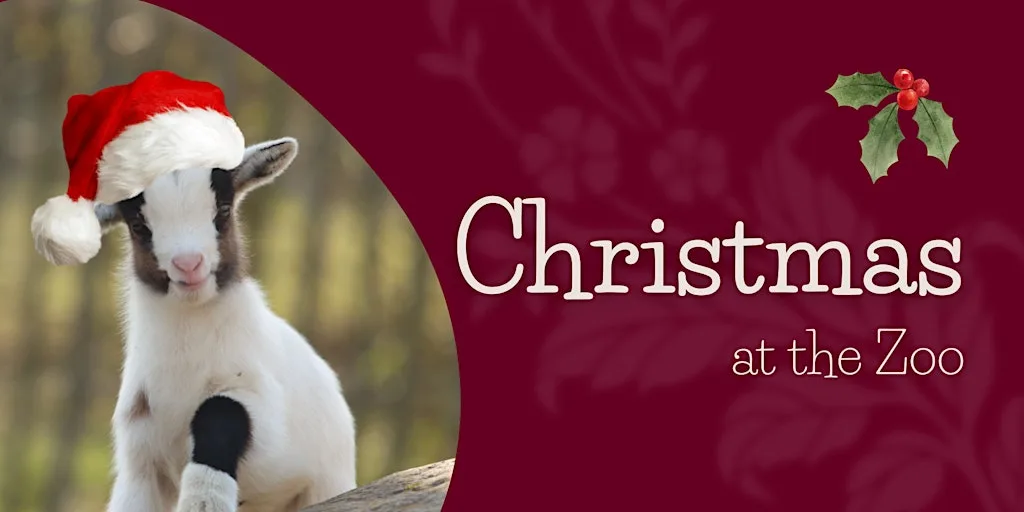 Christmas at the Zoo at Walton Hall and Gardens