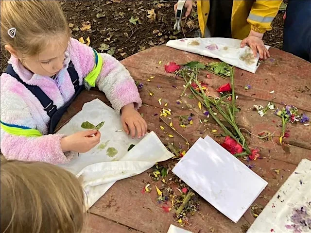 The Wildlings Stay and Play at Baggeridge Country Park