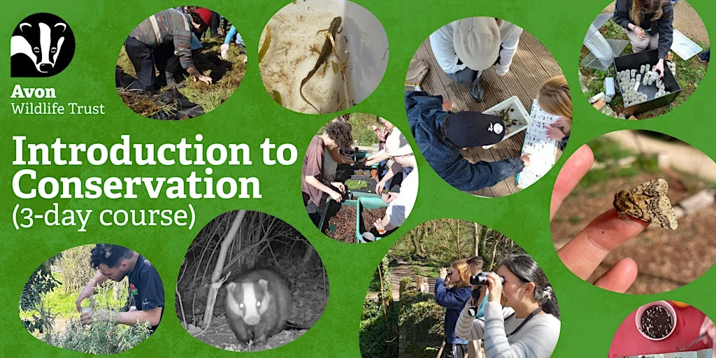 Introduction to Conservation (3-day course) for 16-30 yr olds at Grow Wilder