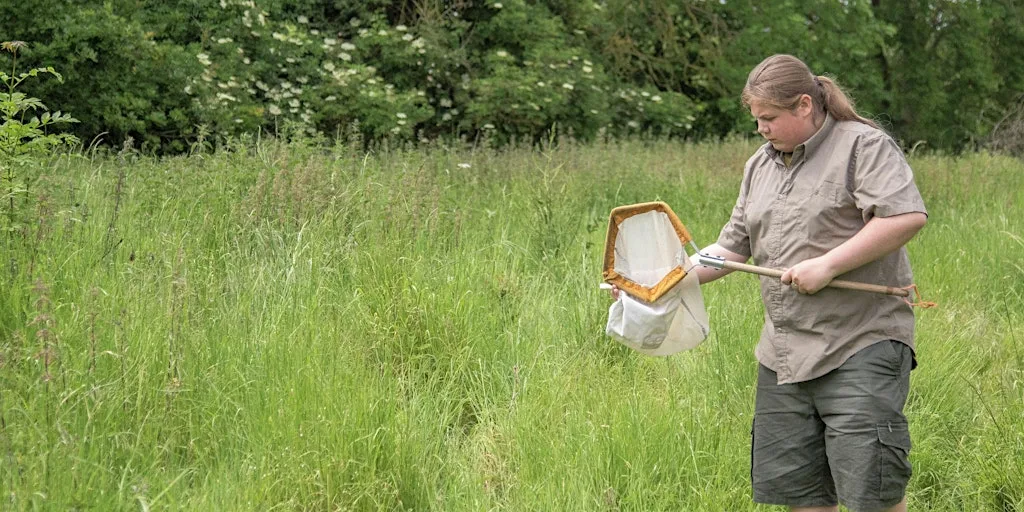For ages 13+ - Introduction to Invertebrates with Brian Eversham at The Wildlife Trust Countryside Centre