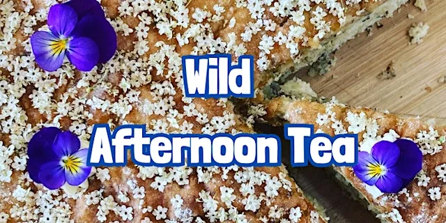 SPECIAL: Wild Afternoon Tea in Dunham Massey (Cheshire)