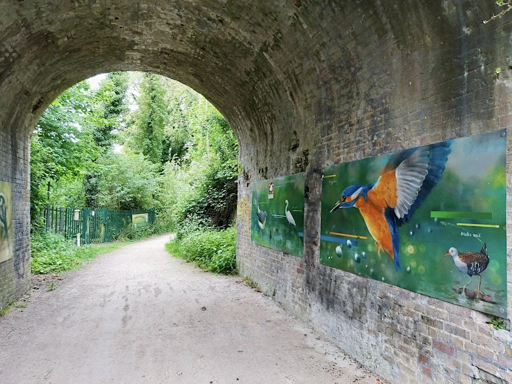 Tuesday titivation at Funges Meadow! at Funges Meadow