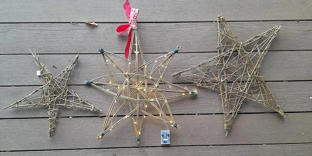 Willow Stars at Ryton Pools Country Park at Ryton Pools Country Park