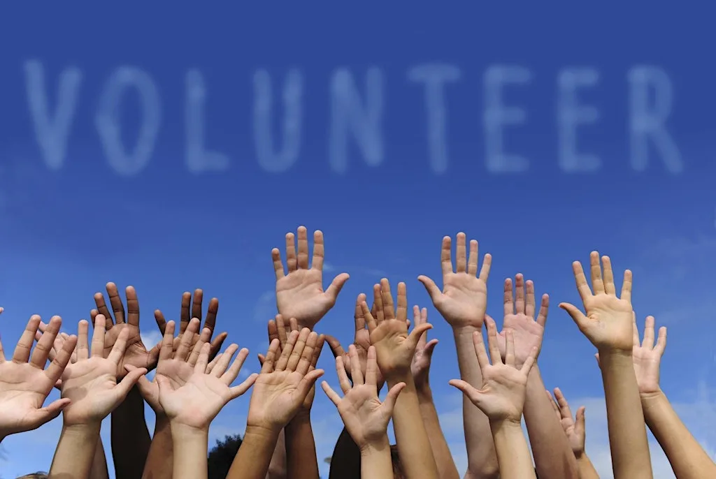 September Volunteer Information Hour: North Somerset Libraries at North Somerset Studies Libraries - within Weston Central Library