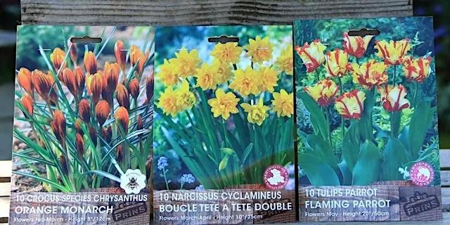 Lasagna Bulb Planting – create a container with layered bulbs at Preston Bissett Nurseries and Country Shop