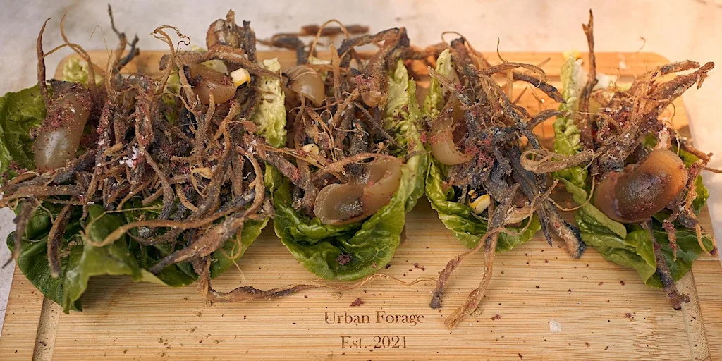 Forage, Photograph & Vegan Feast - A Special Brighton Experience at Urban Forage