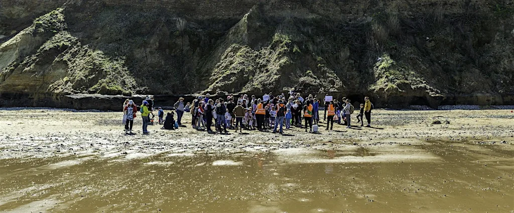 Fascinating fossils (Marine Day Family Event) West Runton