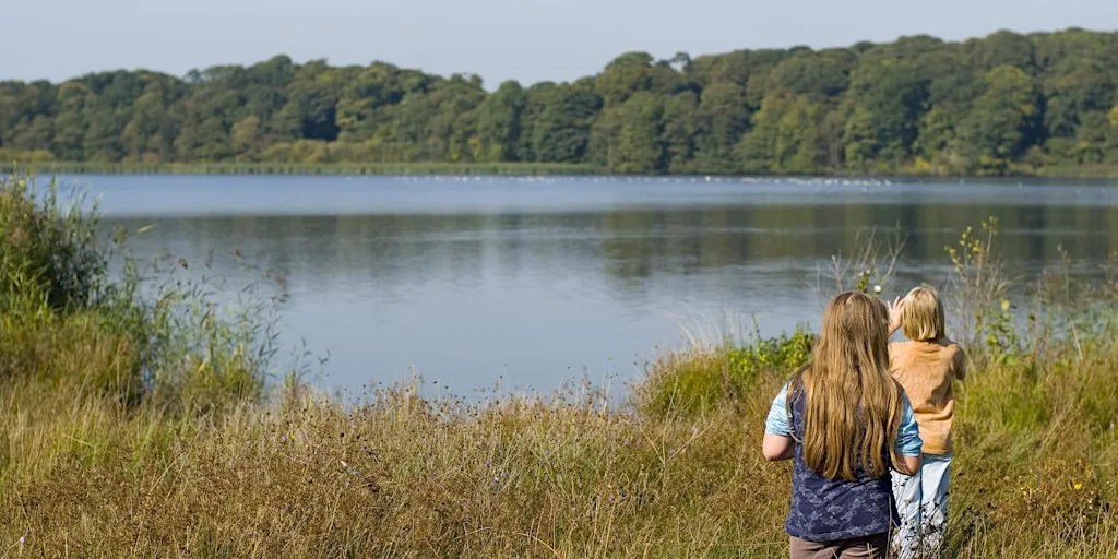 Aqualate Mere Family Wildlife Event at Aqualate Mere