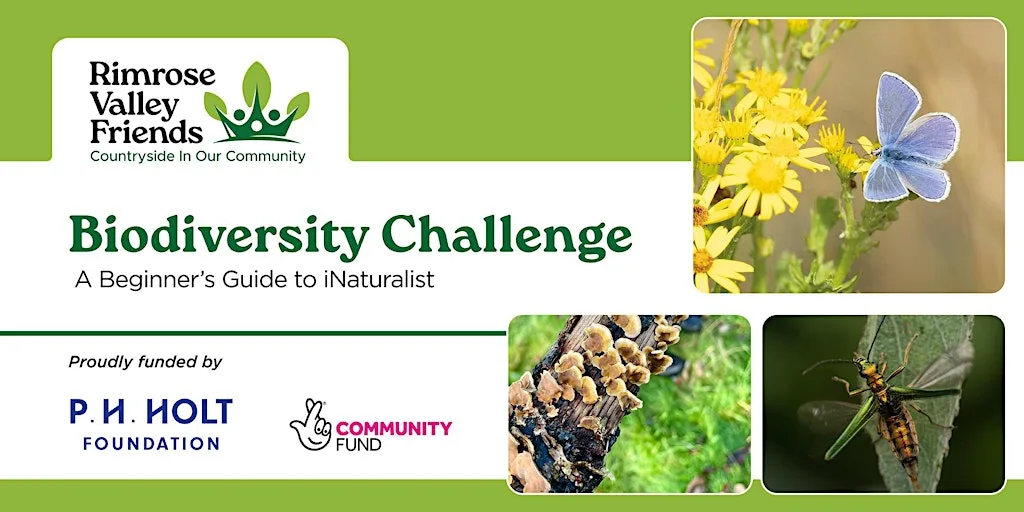 Community Wildlife Recording - Canal Wildlife Special! at Rimrose Valley Country Park