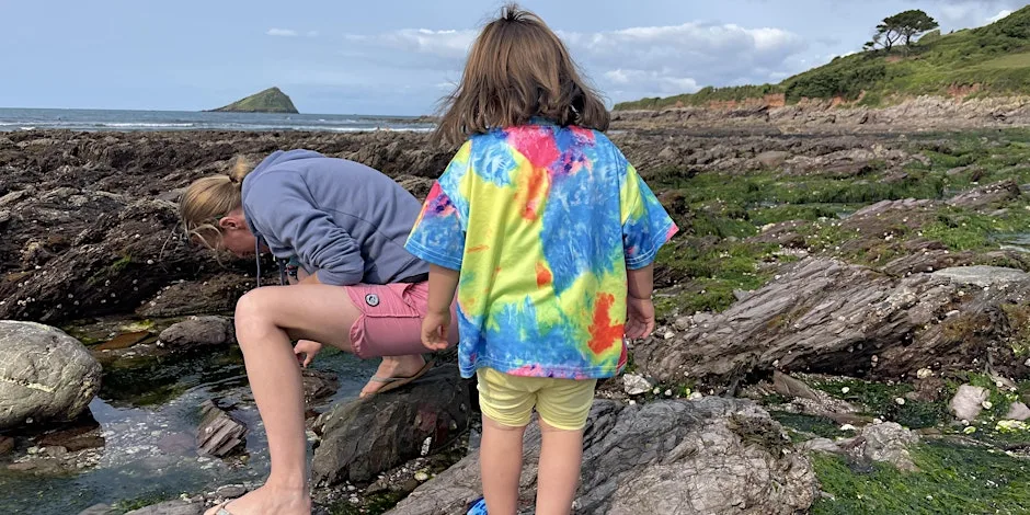 Tots & Toddlers Rockpool Safari at Wembury Marine Centre