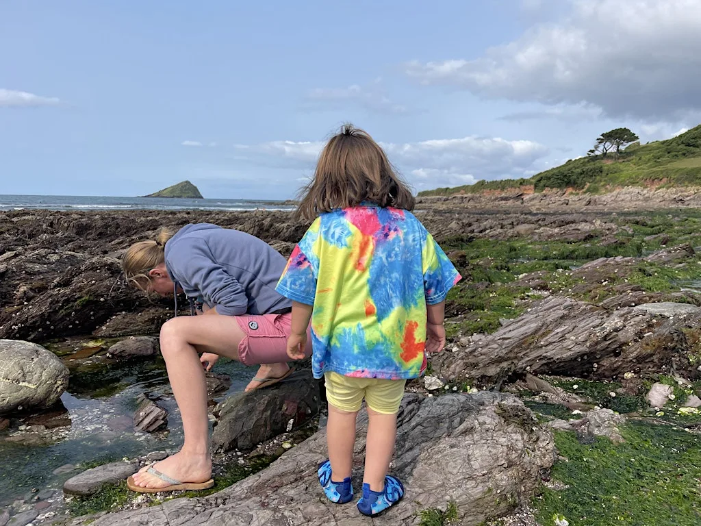 Half Term Tots & Toddlers Rockpool Safari at Wembury Marine Centre