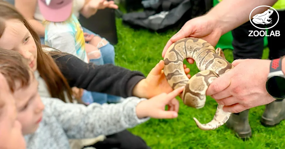 Event: Halloween Creepy Critters at Newhailes