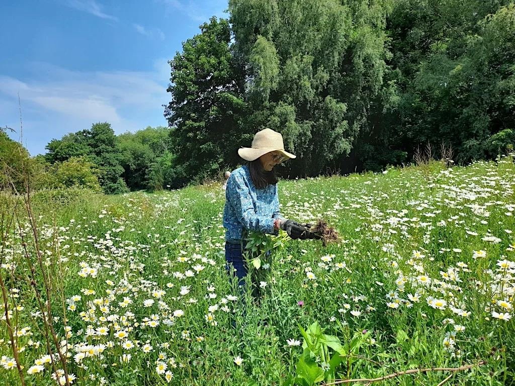 Meadow management at the Carrs at Twinnies Bridge car park,