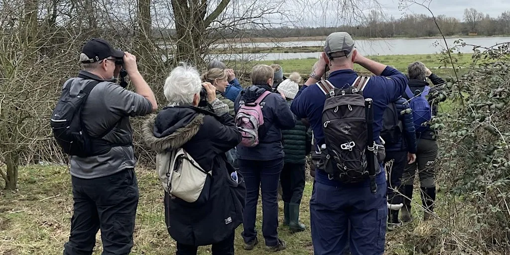 Wildlife Wander at Summer Leys (25th July) at Summer Leys Nature Reserve
