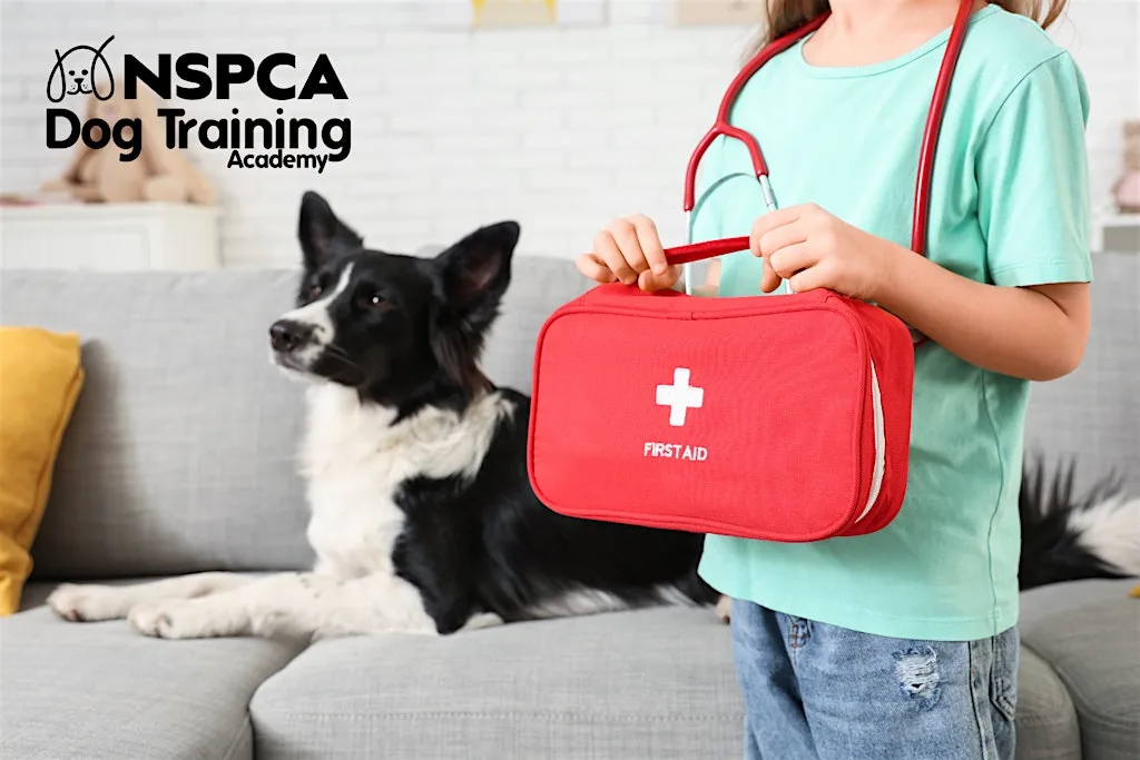 Pet First Aid - NSPCA Adult Education (In Person @ NSPCA Dublin) at DSPCA