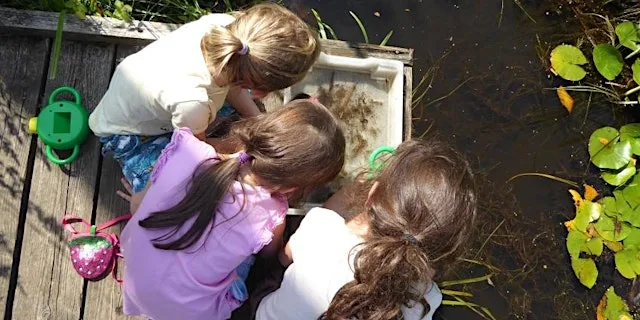 Pond Dipping at Ryton Pools Country Park at Ryton Pools Country Park