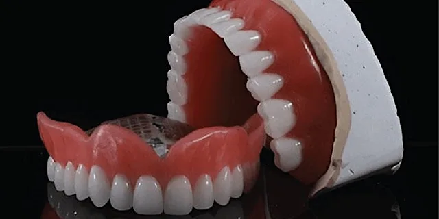 Study Circle - Dental Prosthodontics Training at SynTrain International Academy