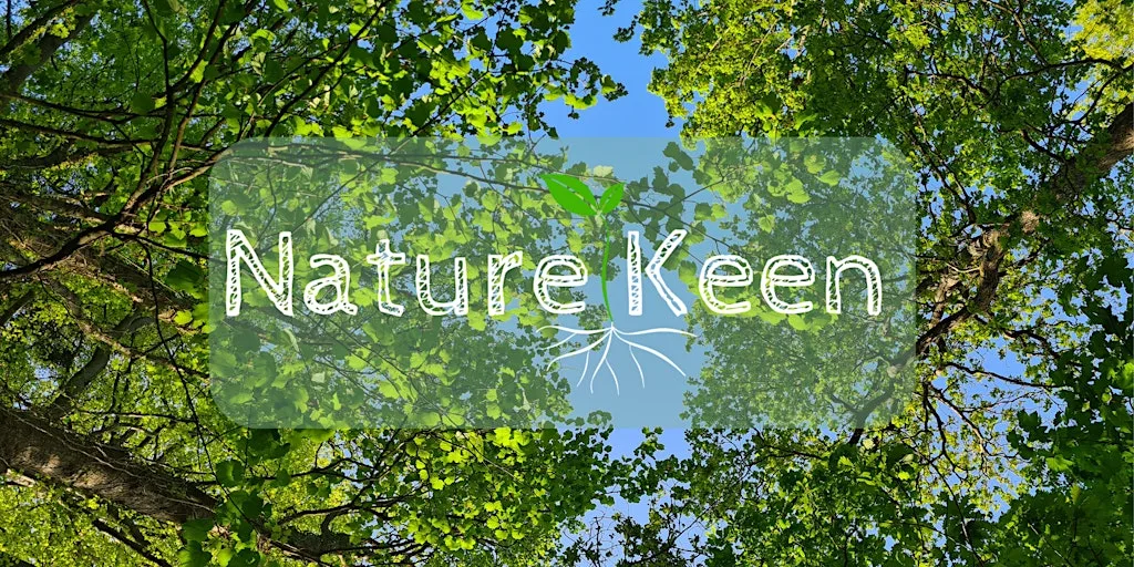 Wednesday Wellness Walk / Taith Gerdded Lles at Treborth Botanic Garden